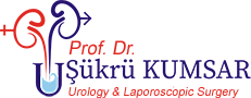 sukru-kumsar-english-logo